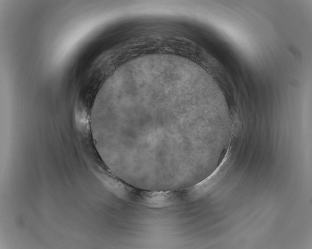 X0000111000191200907171821