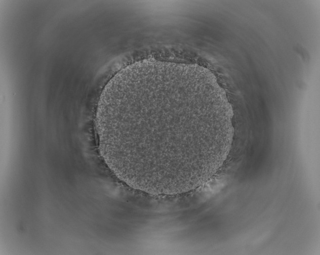 X0000111000192200907171821