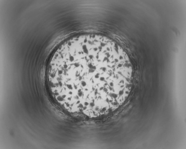 X0000111000194200907171820