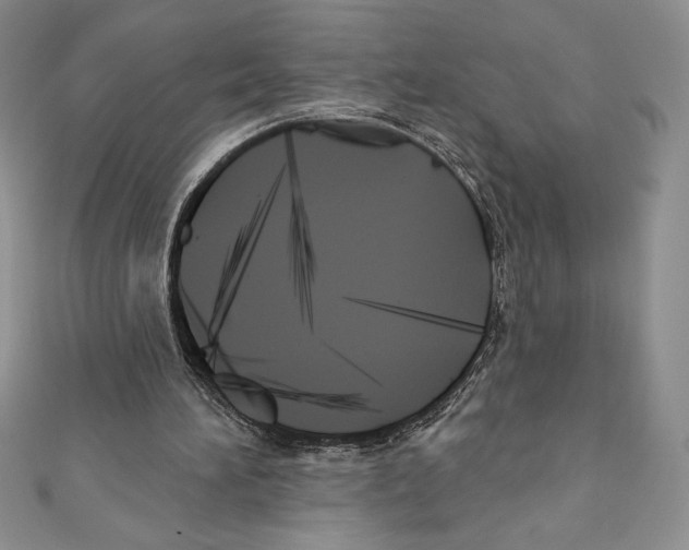 X0000111000196200907171820