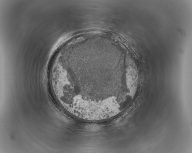 X0000111000198200907171820