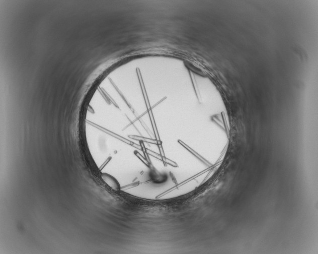 X0000111000200200907171820