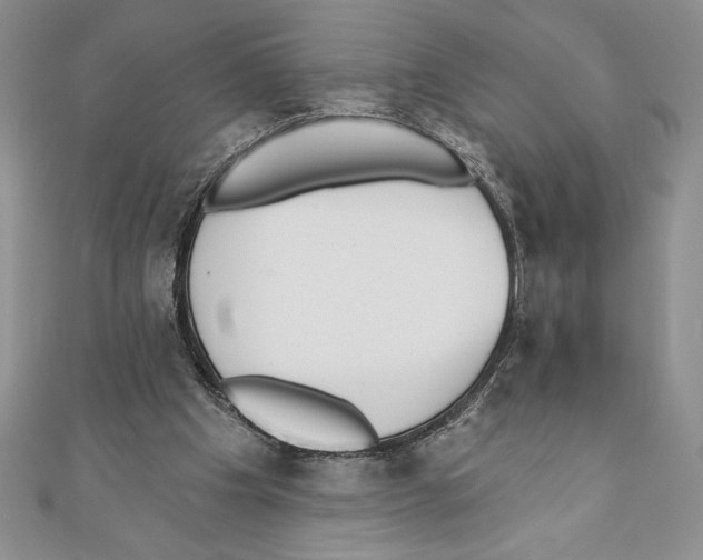 X0000111000201200907171820