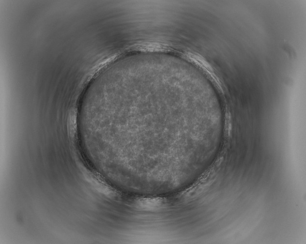 X0000111000202200907171820