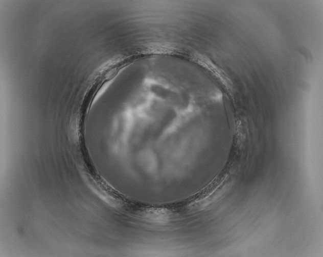 X0000111000203200907171820