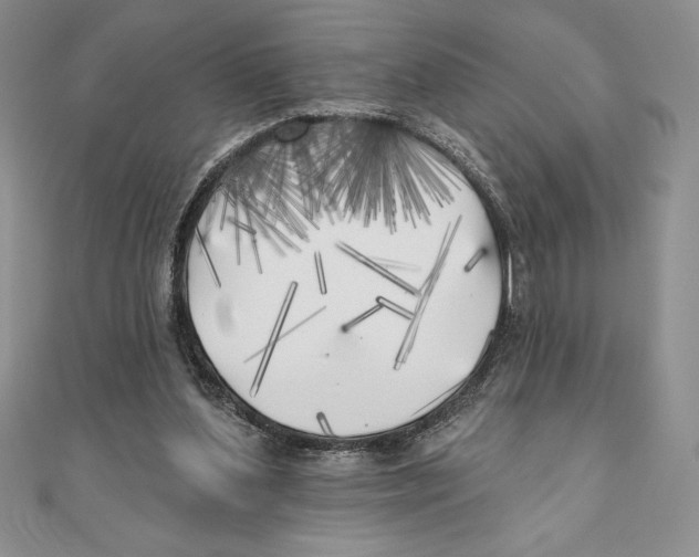 X0000111000204200907171820