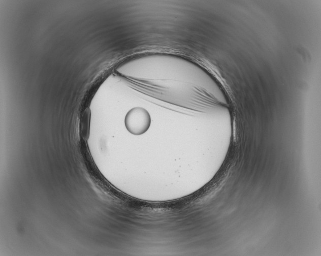 X0000111000205200907171820