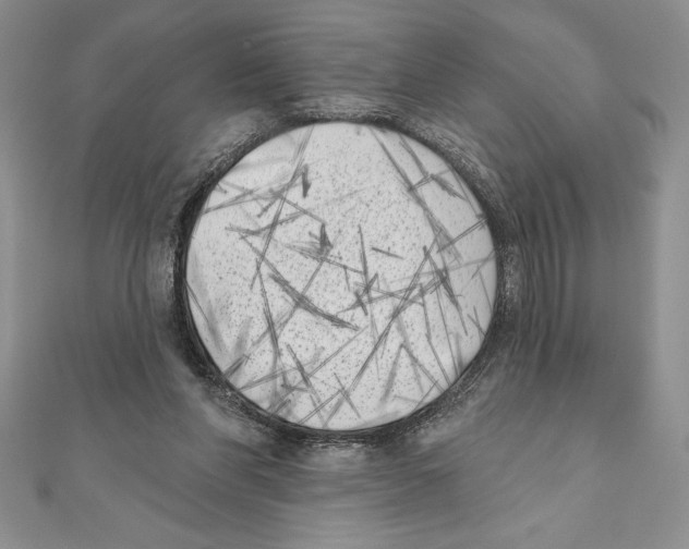 X0000111000206200907171820