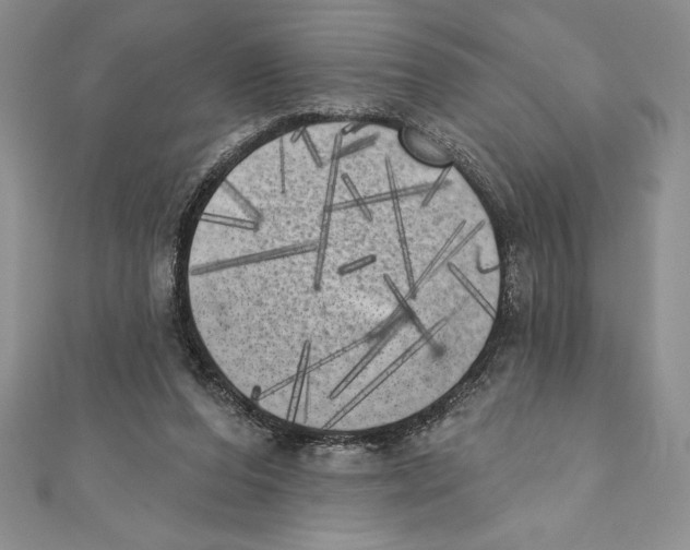 X0000111000208200907171820