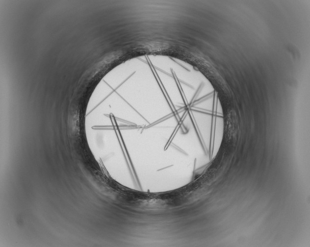 X0000111000212200907171820