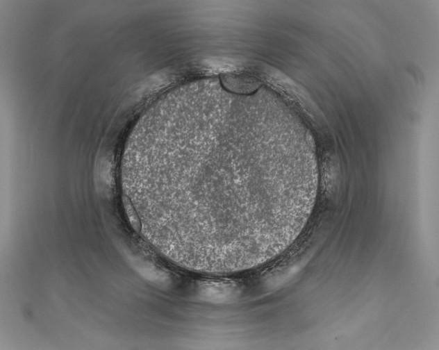 X0000111000215200907171820