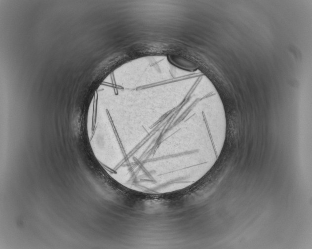 X0000111000216200907171820