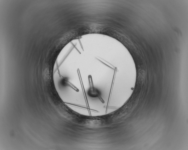 X0000111000220200907171820