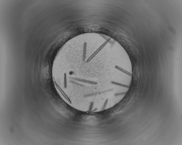 X0000111000224200907171820