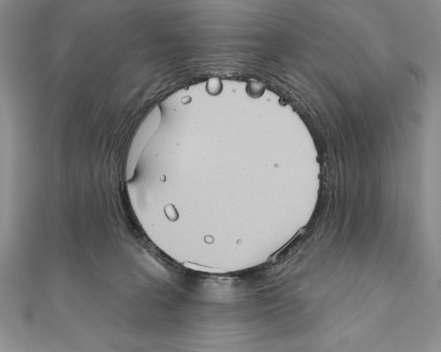 X0000111000227200907171820