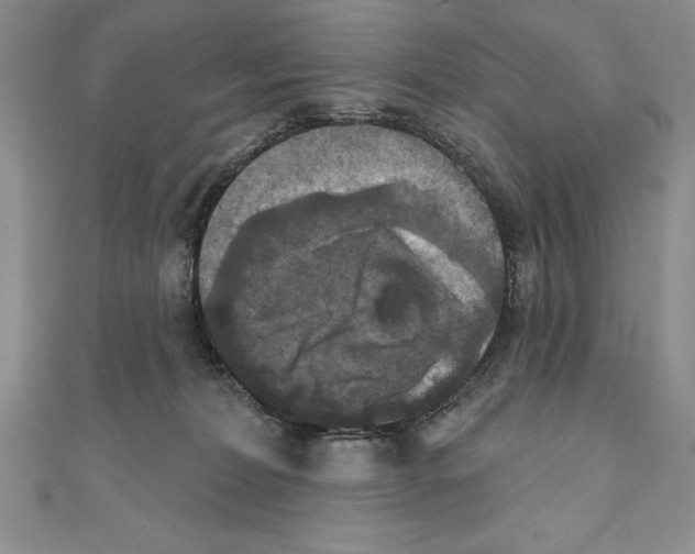 X0000111000228200907171820