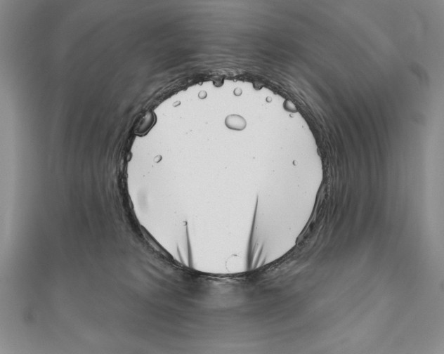 X0000111000229200907171820