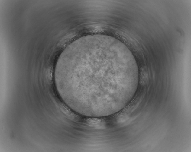 X0000111000230200907171820