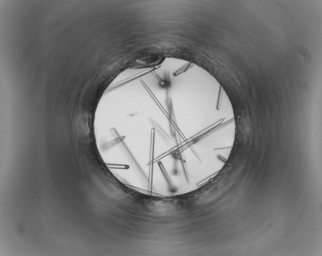 X0000111000232200907171820