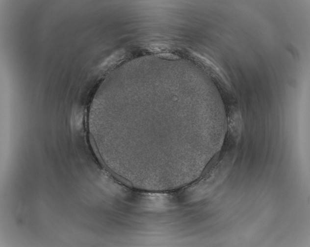 X0000111000233200907171820