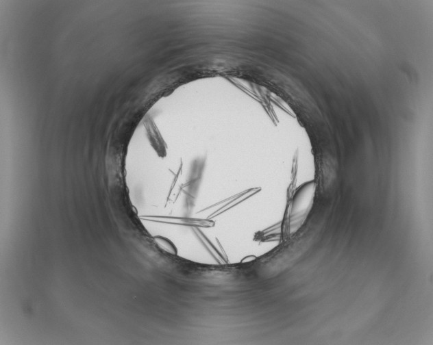 X0000111000236200907171820