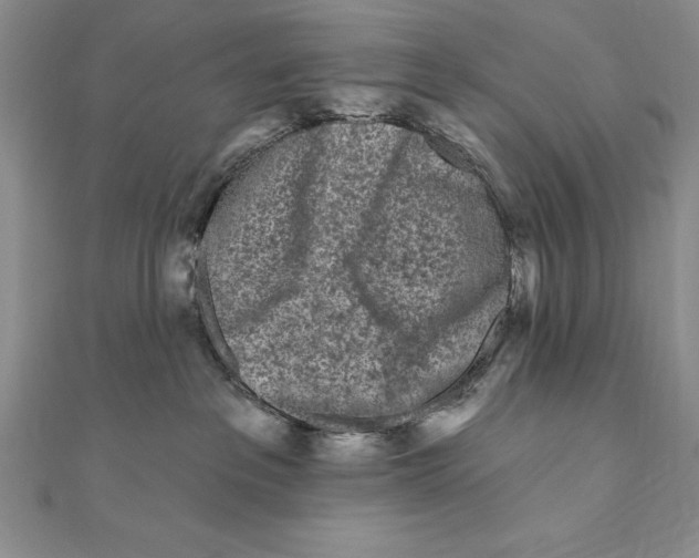 X0000111000237200907171820