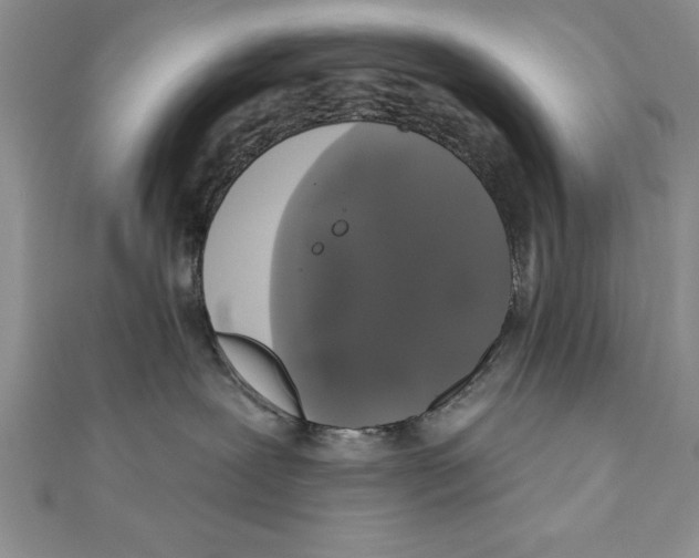 X0000111000239200907171820