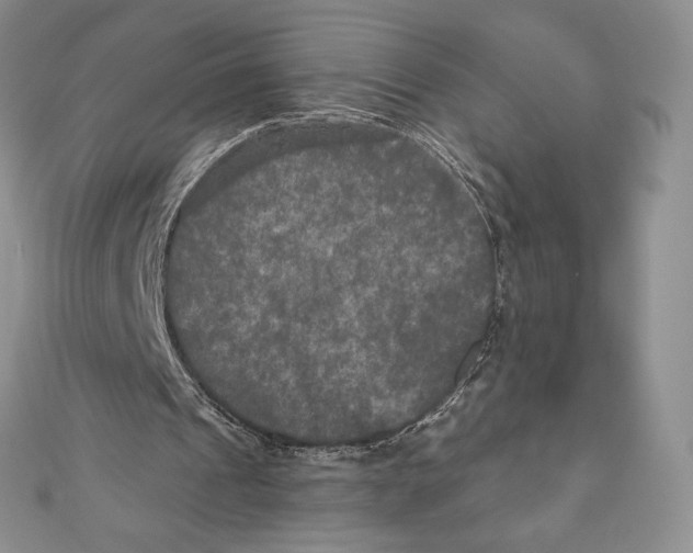 X0000111000241200907171819