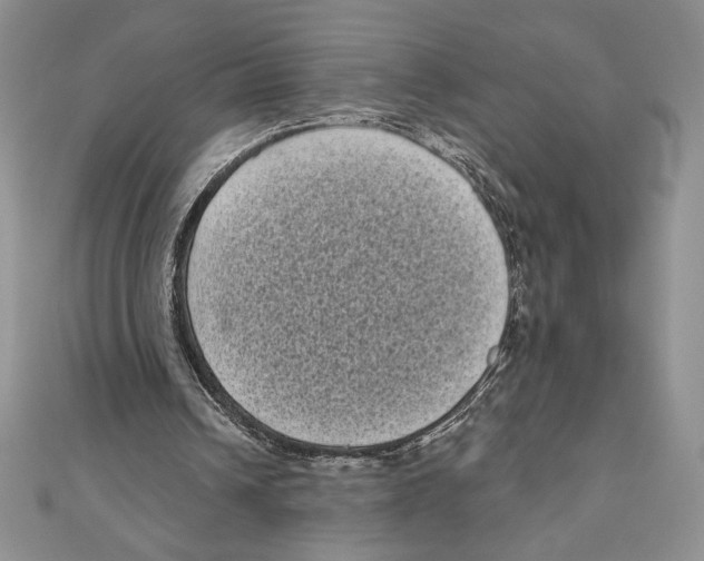 X0000111000242200907171819