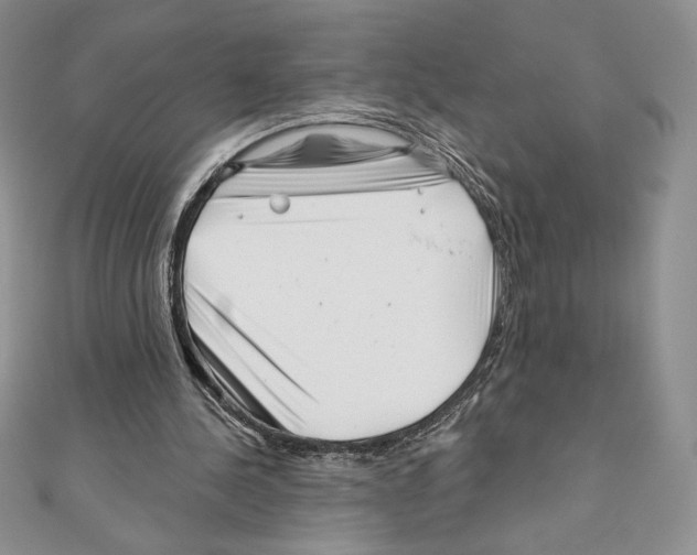 X0000111000244200907171819