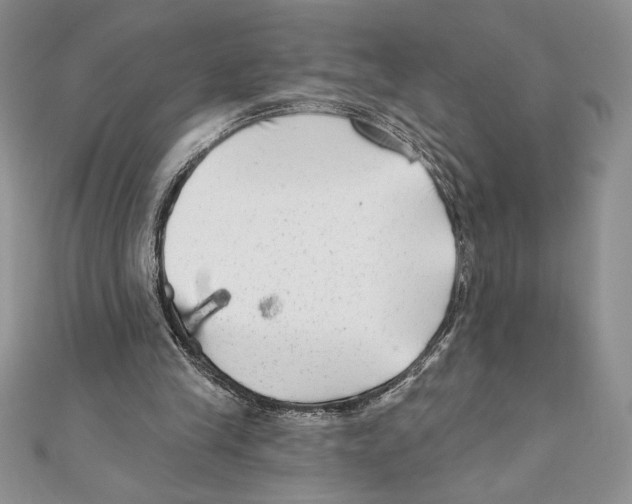 X0000111000245200907171819