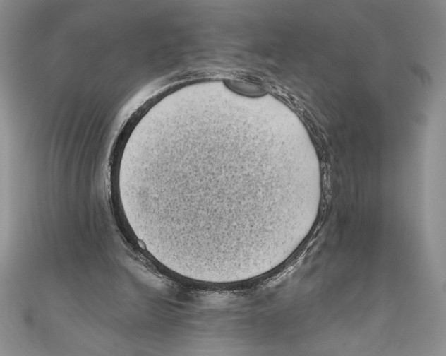 X0000111000246200907171819