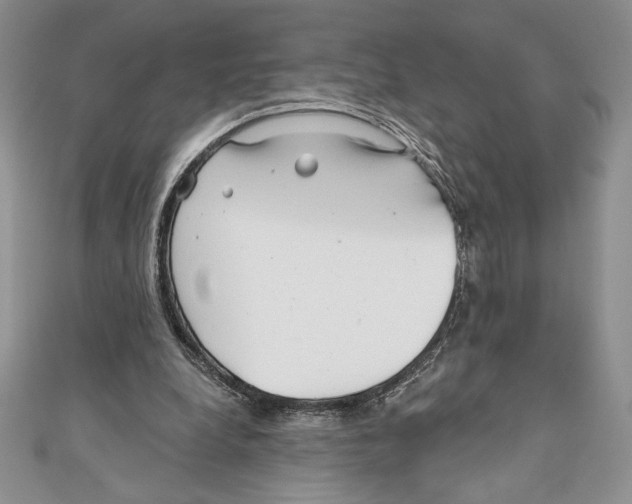 X0000111000248200907171819