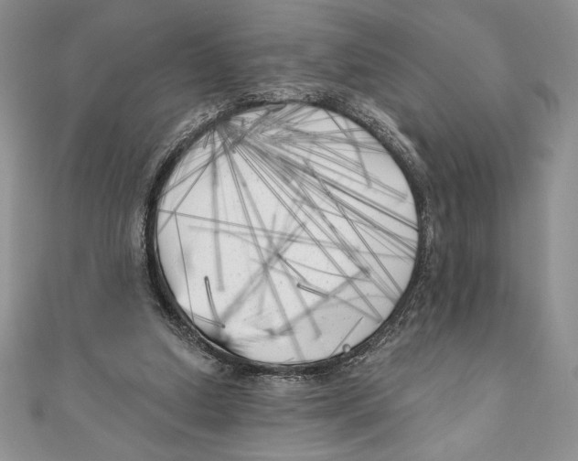 X0000111000250200907171819