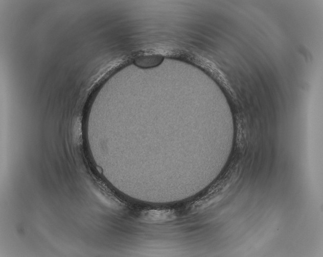 X0000111000251200907171819