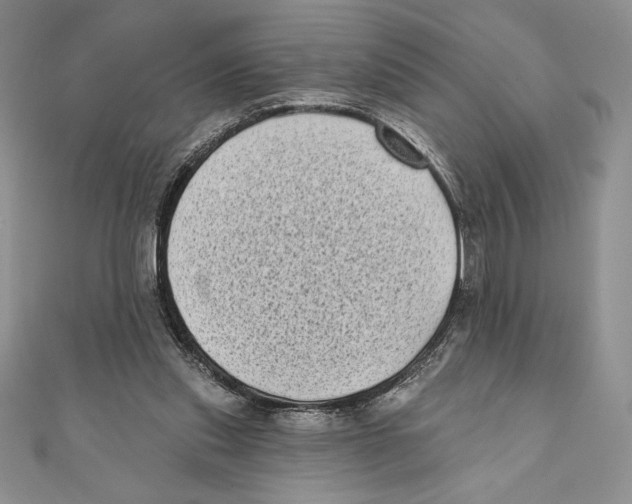 X0000111000253200907171819