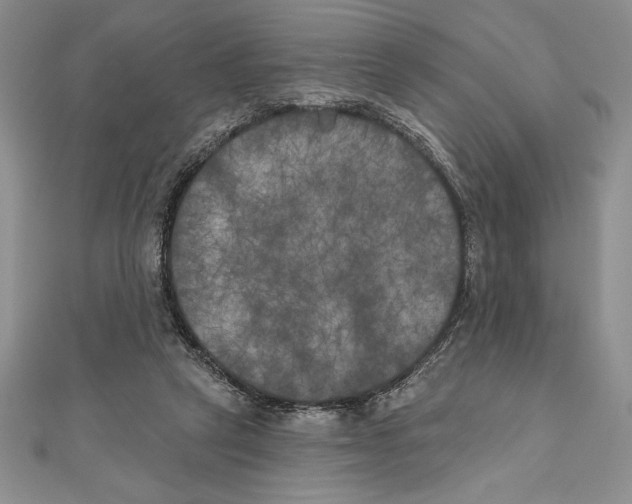 X0000111000257200907171819