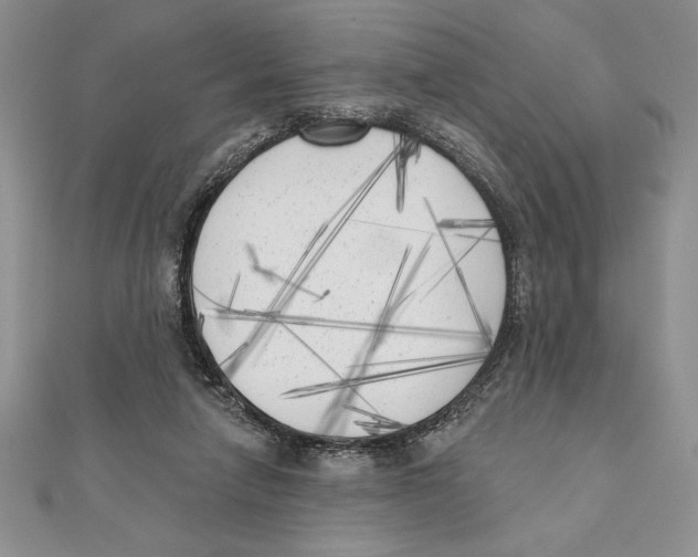 X0000111000258200907171819