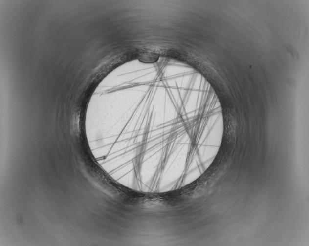 X0000111000262200907171819