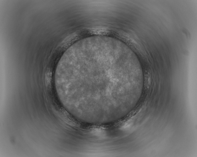 X0000111000263200907171819