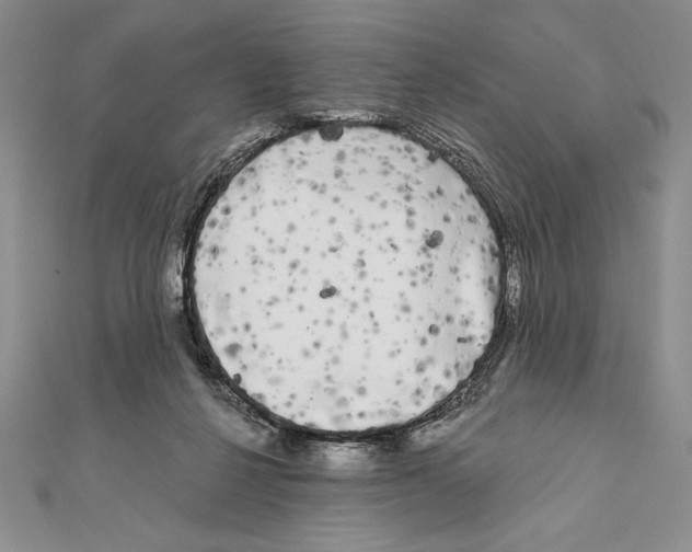 X0000111000264200907171819