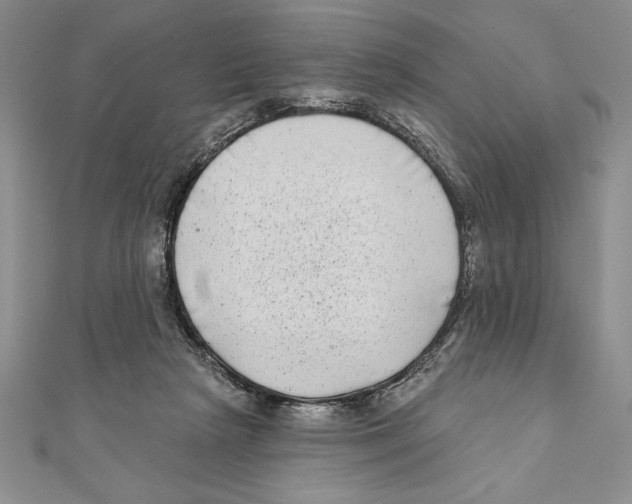 X0000111000265200907171819