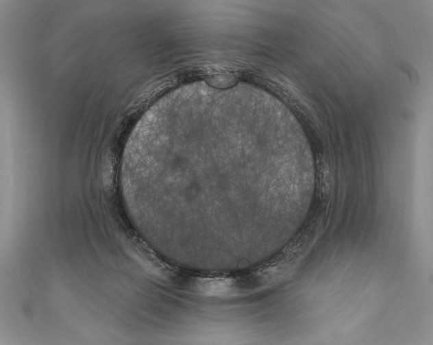 X0000111000266200907171819