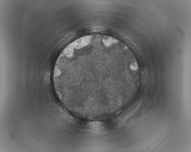 X0000111000269200907171820