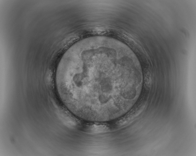 X0000111000270200907171820