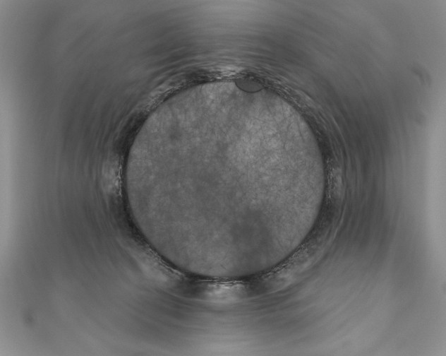 X0000111000274200907171820