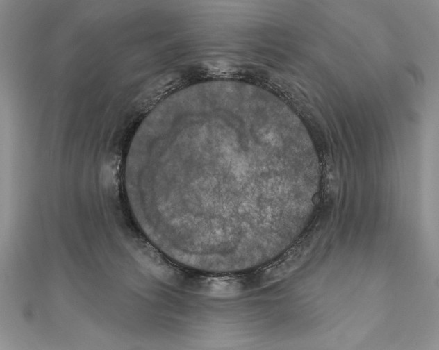 X0000111000275200907171820