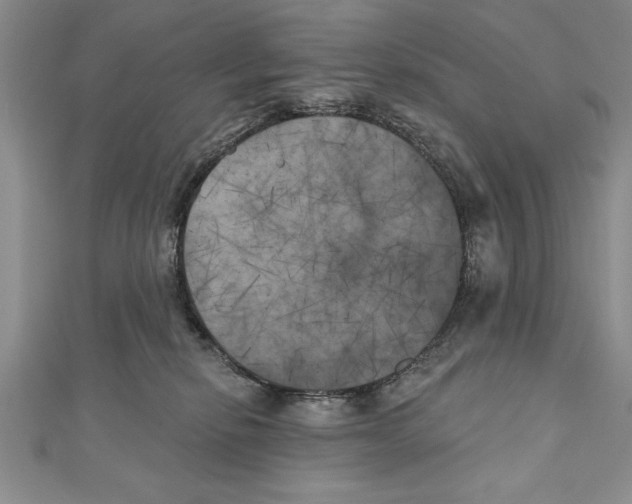 X0000111000278200907171820