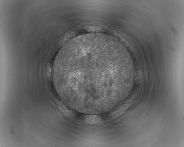 X0000111000281200907171820