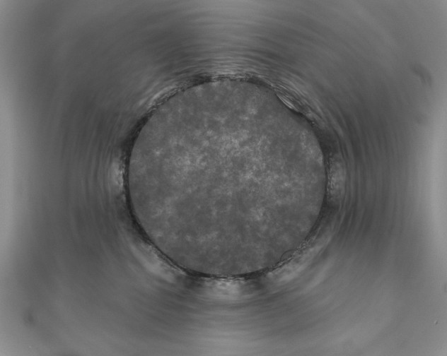 X0000111000282200907171820